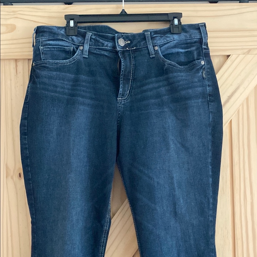 Silver Jeans Blue Skinny Modern Fit